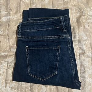 Arizona Jean Company Dark Blue Skinny Jeans